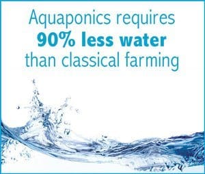 Aquaponics Uses Up To 90 Less Water