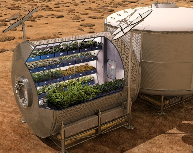 Farming Hydroponically On Mars