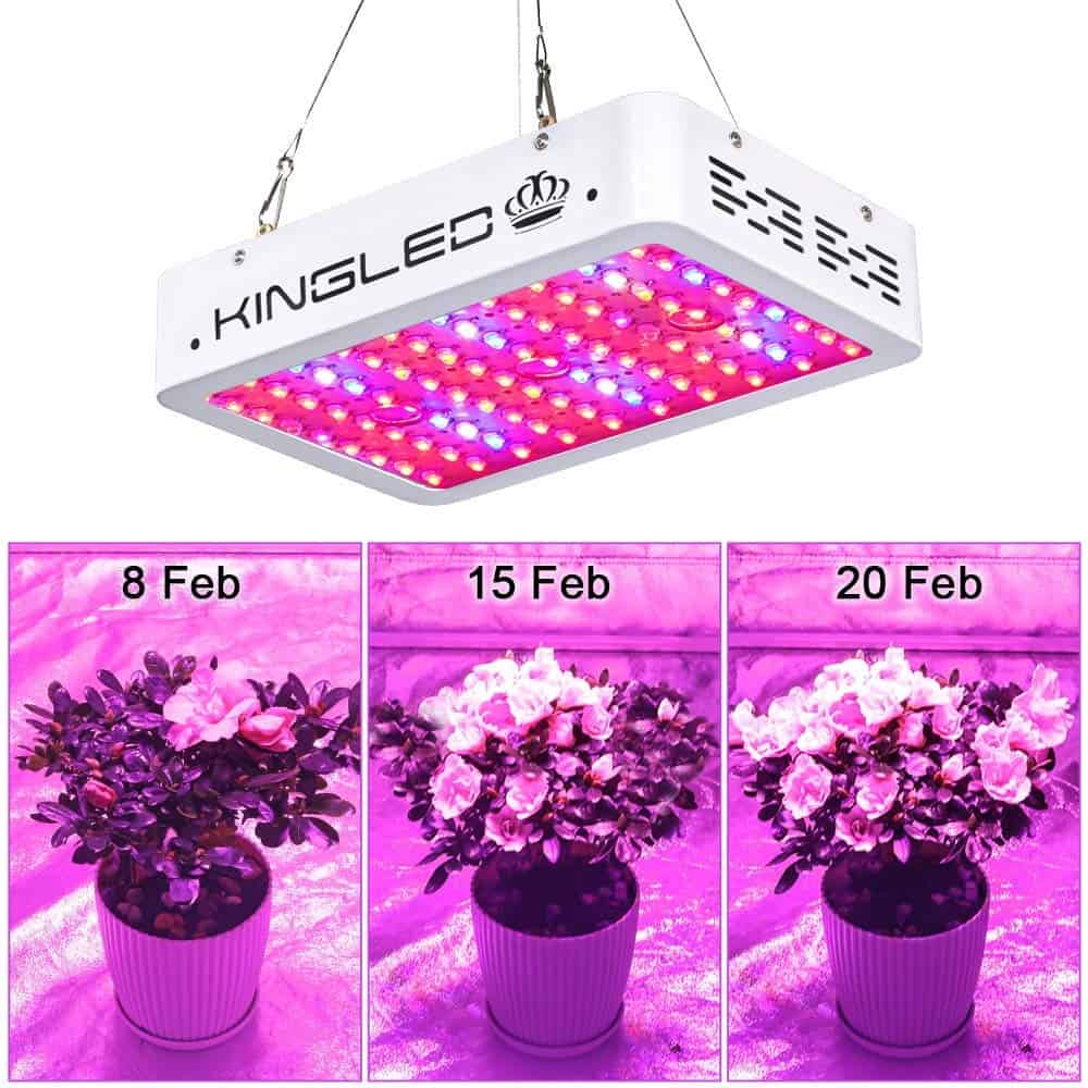 Grow Lights