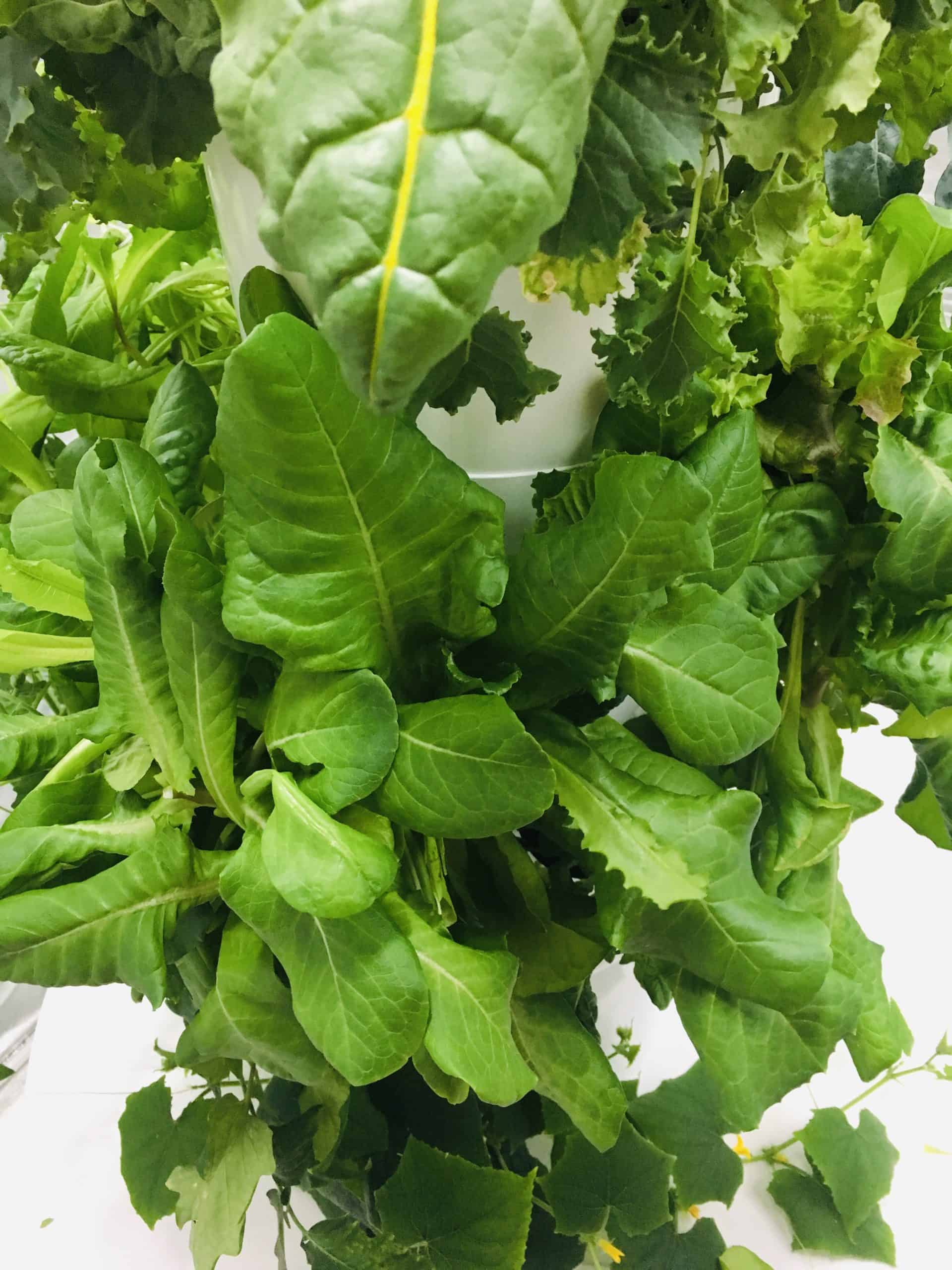 Hydroponic TowerGarden scaled