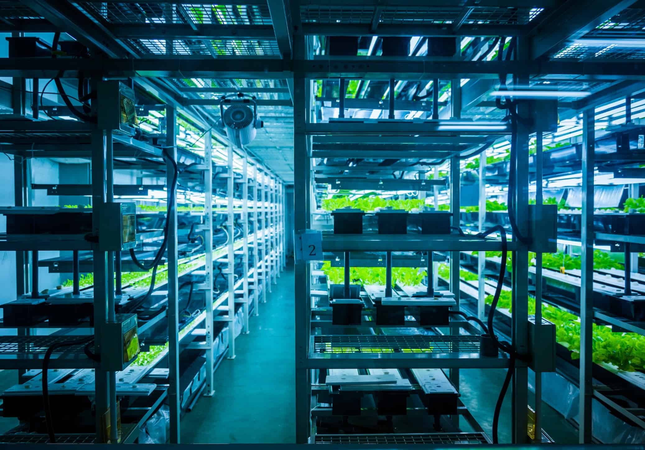 Vertical Farming